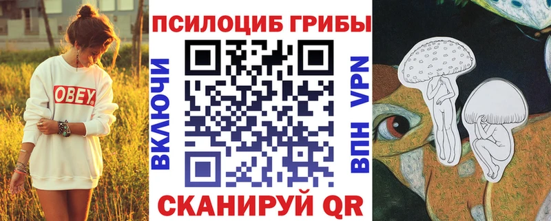 Галлюциногенные грибы ЛСД  магазин продажи   Верещагино 